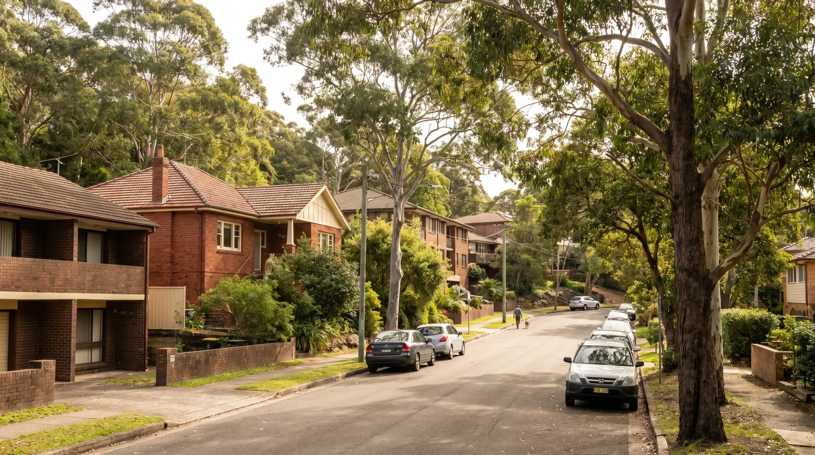 Suburban street stepping gently downhill in Forestville with mixed brick homes and tree canopy