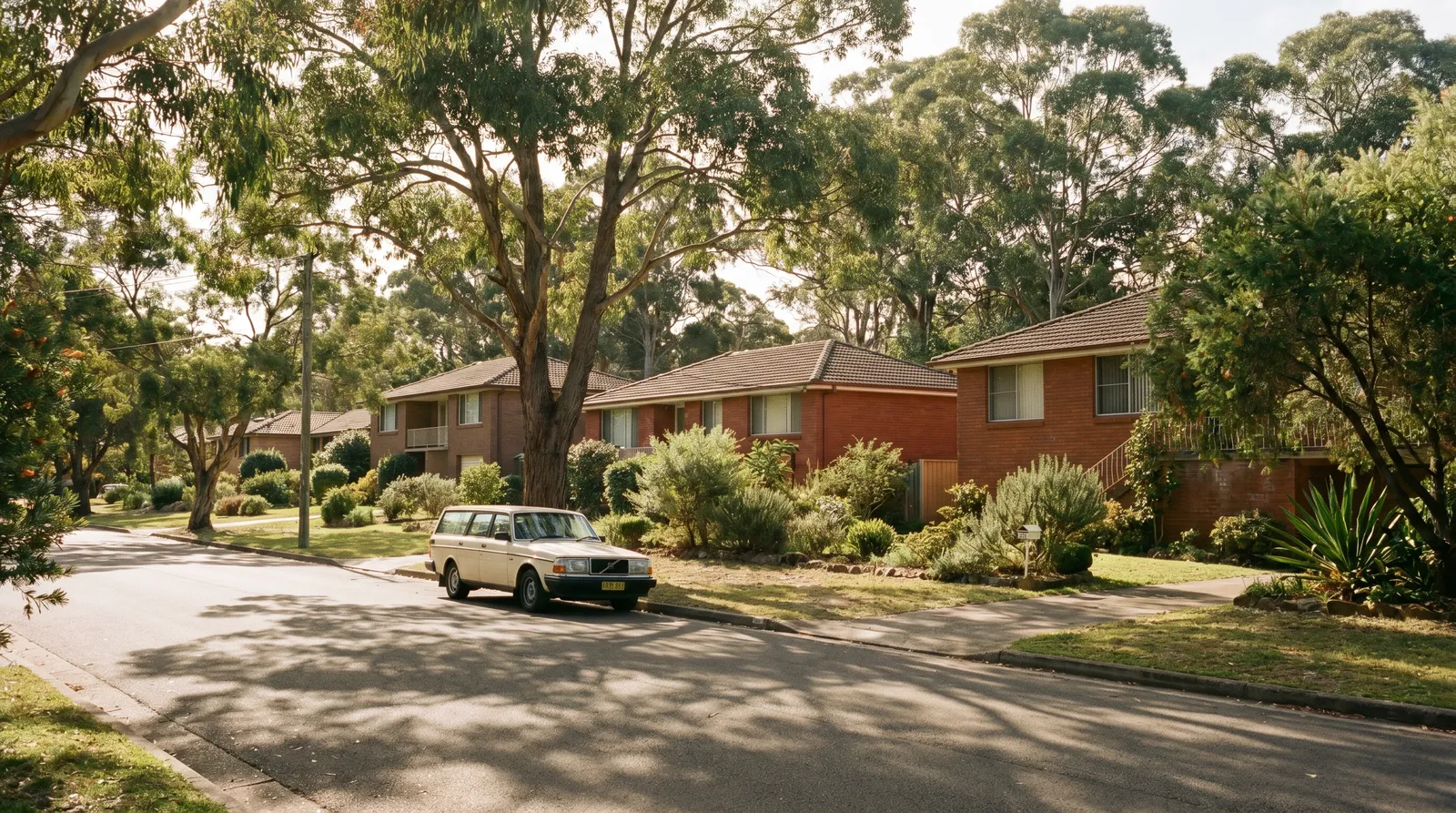 Quiet suburban street in Frenchs Forest with a mix of single-storey and split-level brick homes