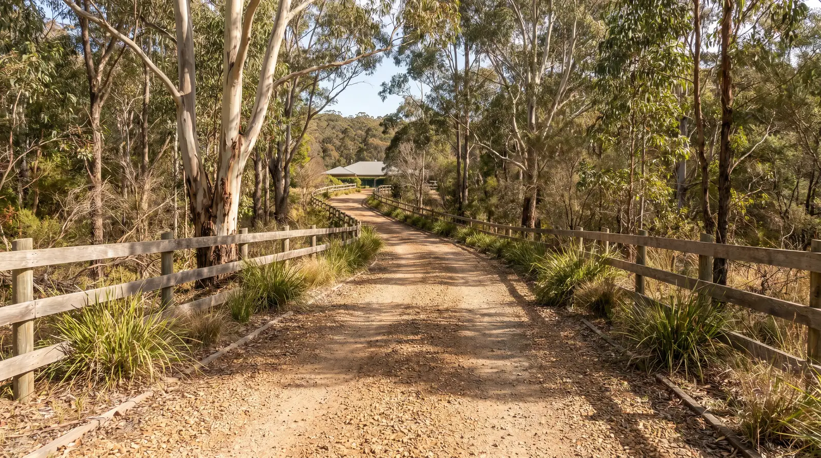 Long gravel driveway through an acreage property in Terrey Hills